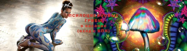 эйфоретик Абаза