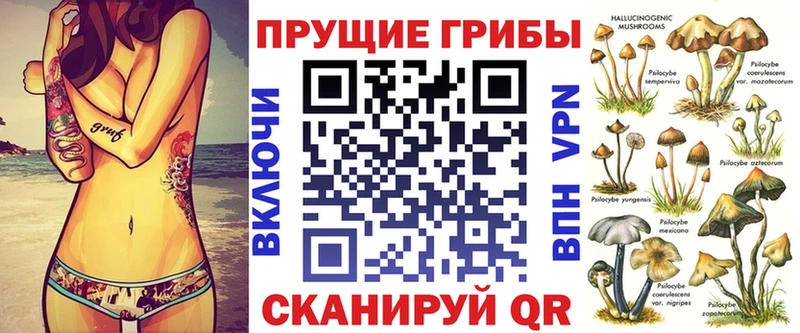 где продают Астрахань Галлюциногенные грибы Magic Shrooms